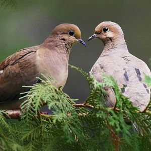 Meet your Posher, Paul